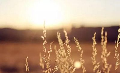 50條適合發(fā)到朋友圈的英語(yǔ)勵(lì)志名言