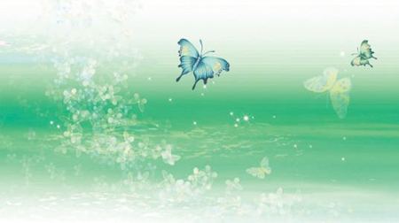 蝴蝶為什么要遷飛？