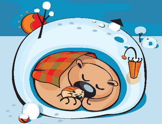 為什么有些動物要休眠,動物冬眠的原因