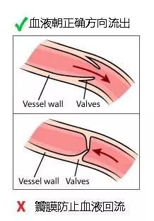蝙蝠為什么倒著睡覺,蝙蝠倒掛原理