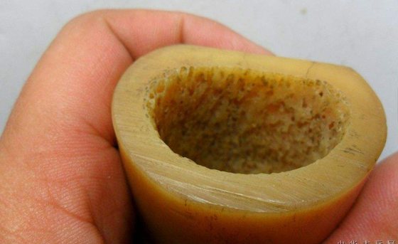 為什么動物的骨骼是拱形的