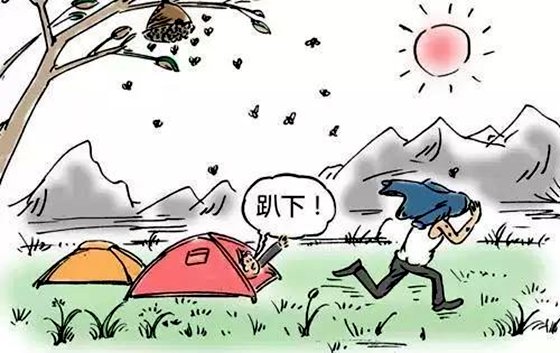 為什么蜜蜂蟄過人后會死