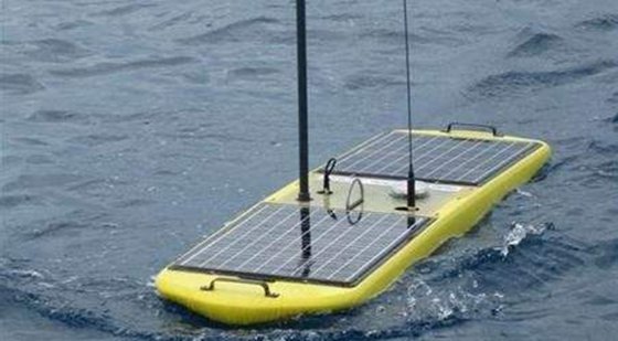 為什么水母可以預測風暴