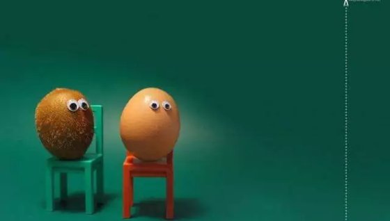 鳥認(rèn)識(shí)自己的蛋嗎,為什么有的鳥不認(rèn)識(shí)自己的蛋