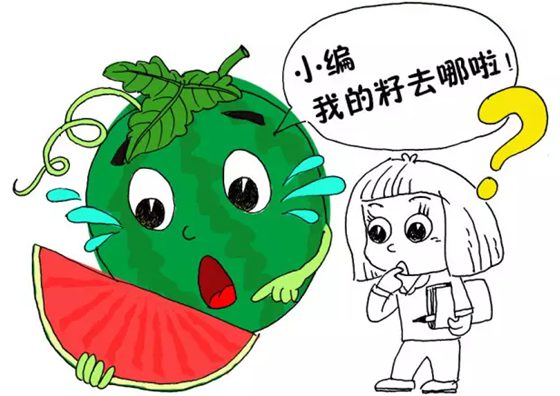 為什么無籽西瓜沒有籽