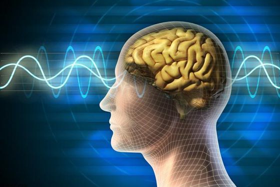 為什么人會(huì)有記憶,怎樣提高記憶力