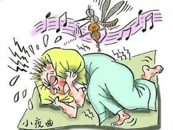 人為什么會感覺癢,為什么癢的時候要撓