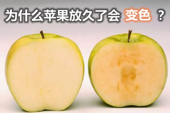 為什么蘋果放久了會(huì)變色,蘋果放久了還能吃