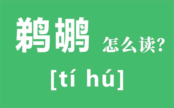鵜鶘怎么讀,鵜鶘是什么鳥,鵜鶘和鸕鶿的區別