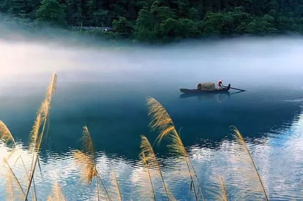 蒹葭怎么讀全文拼音,蒹葭的意思是什么,蒹葭原文翻譯及賞析