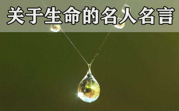 關于生命的名人名言