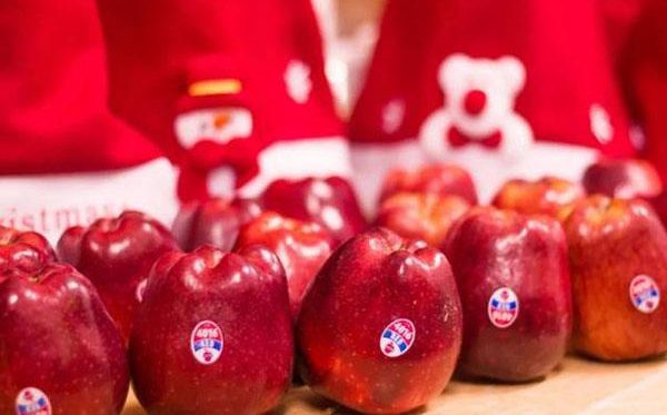 圣誕節(jié)的蘋果為什么叫平安果,國外圣誕節(jié)也有平安果嗎