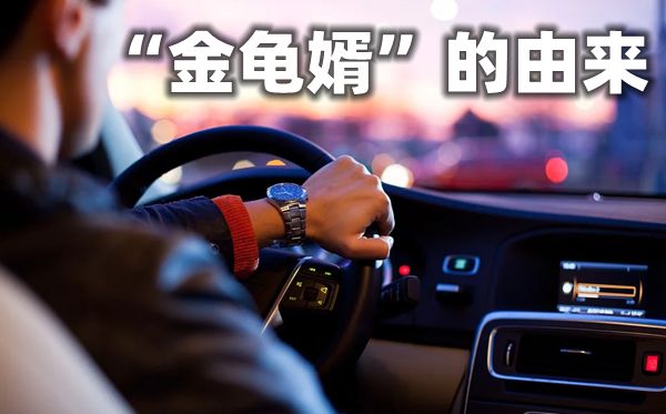為什么高貴的女婿要叫金龜婿,金龜婿的意思,金龜婿的來歷