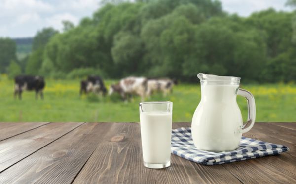 為什么不能空腹喝牛奶,不能空腹喝牛奶的原因是什么