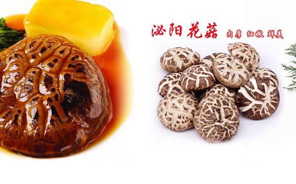 泌陽(yáng)的泌怎么讀,泌陽(yáng)旅游攻略,泌陽(yáng)特產(chǎn)