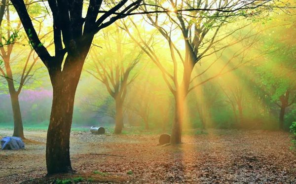 罅隙怎么讀,罅隙的拼音,罅隙是什么意思