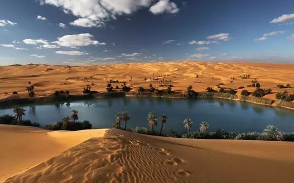 為什么沙漠里的沙子不能用于建筑