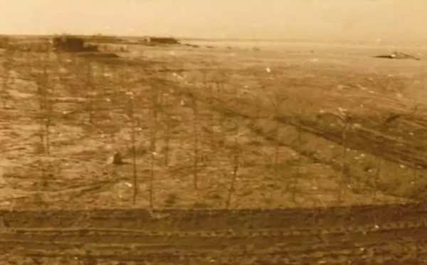 鲅魚圈怎么讀拼音是什么,鲅魚圈讀音是什么,鲅魚圈名字的由來