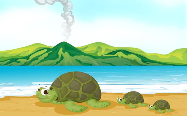 帶龜字的成語有哪些,關于龜字的四字成語