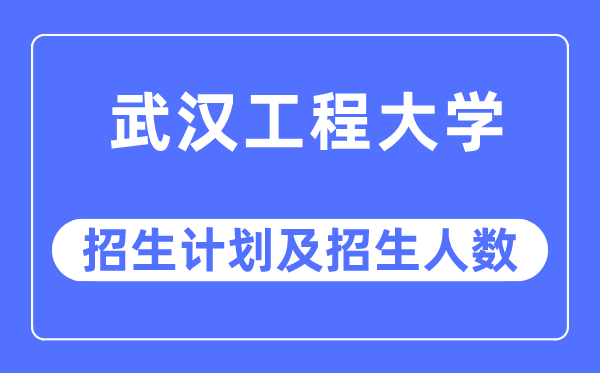2023年武漢工程大學各省招生計劃及各專業招生人數是多少
