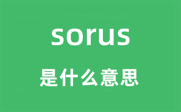 sorus是什么意思,sorus怎么讀,中文翻譯是什么