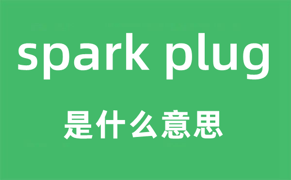 spark plug是什么意思,中文翻譯是什么