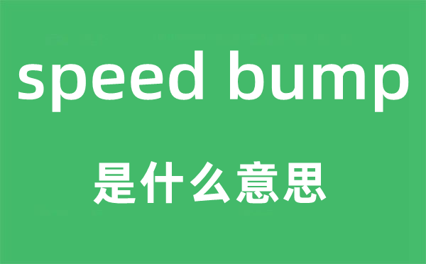 speed bump是什么意思,中文翻譯是什么