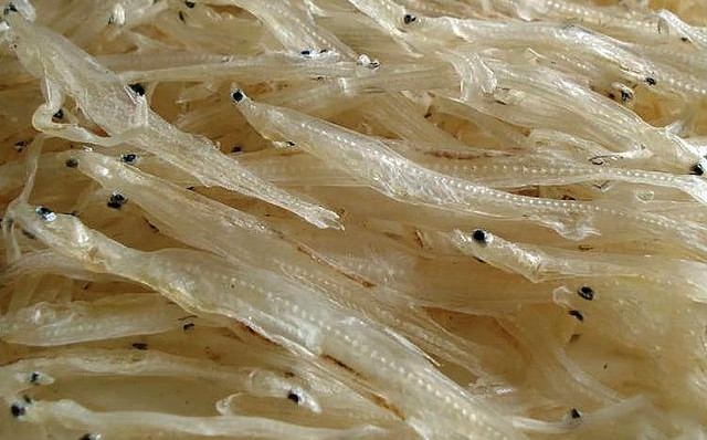 江西老表什么意思,為什么都叫江西人老表？