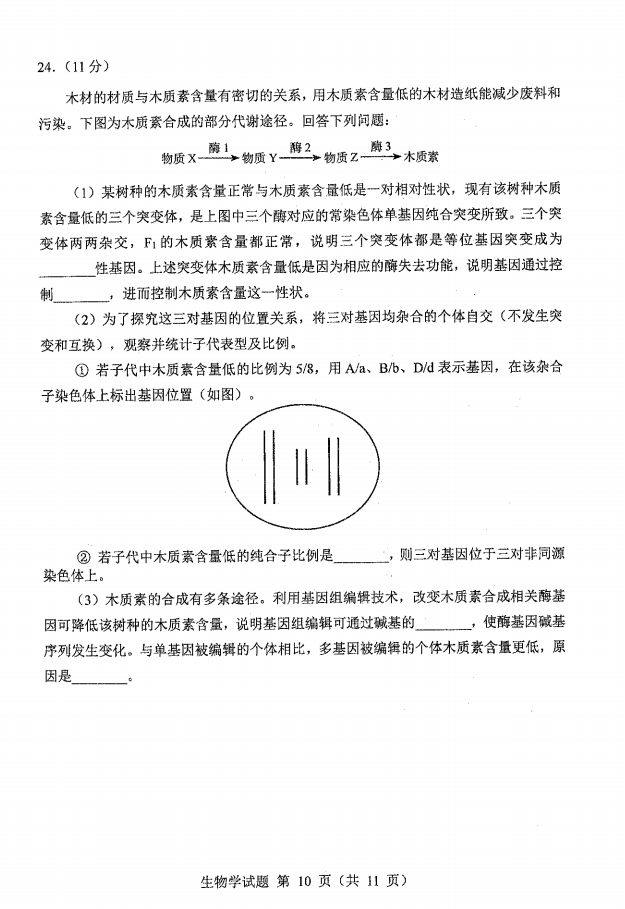 新高考2024七省聯考生物試卷及答案解析