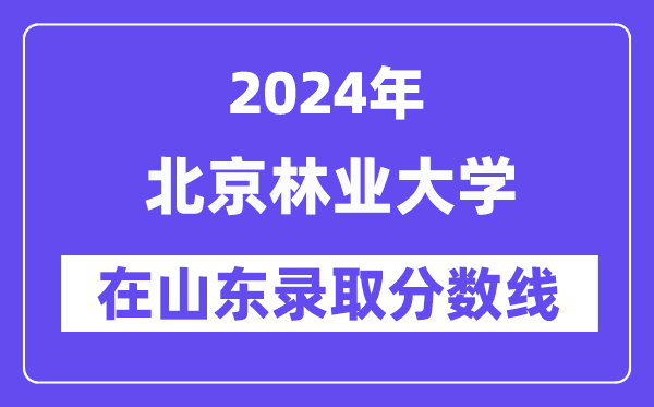 北京林業大學2024年在山東錄取分數線一覽表（2025年參考）