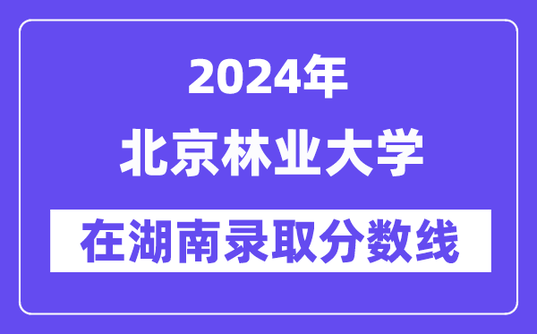 北京林業大學2024年在湖南錄取分數線一覽表（2025年參考）