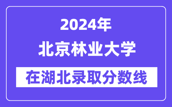 北京林業大學2024年在湖北錄取分數線一覽表（2025年參考）